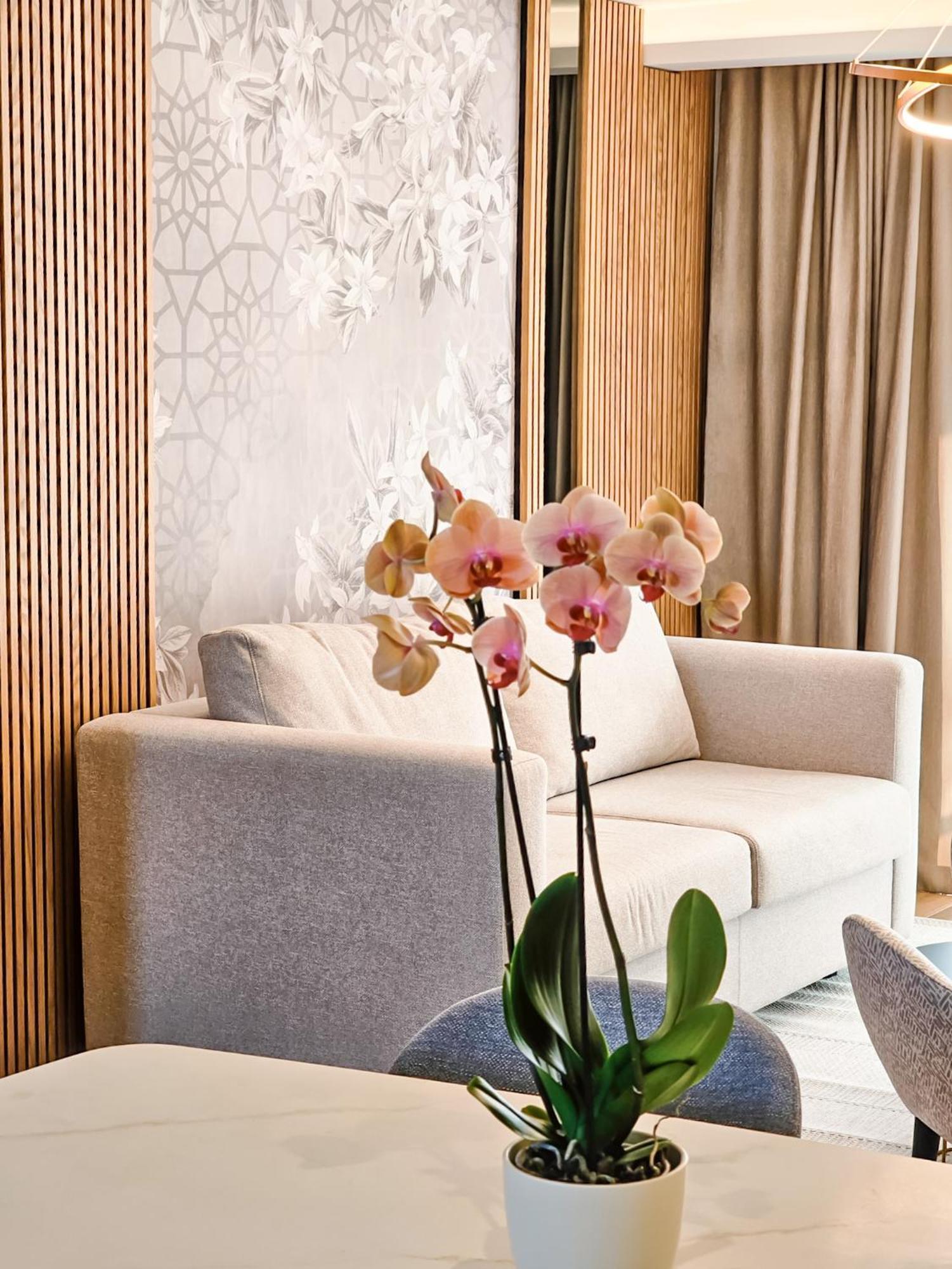 The New Hotel Mediteran - Villa Edition Ulcinj Room photo